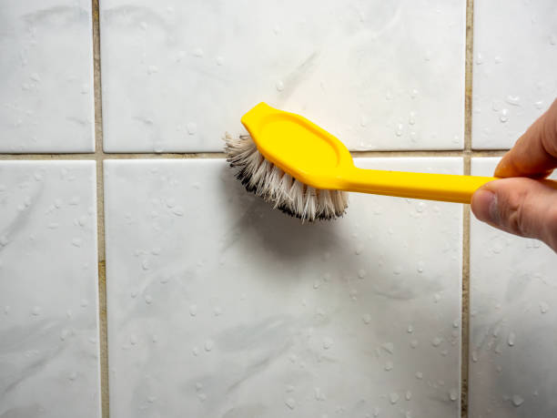 Best Industrial Mold Remediation in Newton, NC